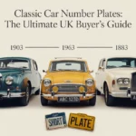Infographic showing evolution of classic number plates with three rows of cars from 1903, 1963, and 1883, each displaying standard and short license plates in muted colors on light gray background.