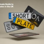 Multiple floating Show Plates with diverse designs including yellow 'PLATE', white 'SHORT', textured black, blue '01', and 'Official Celebrity' variants above a car bumper sticker on neutral beige background.